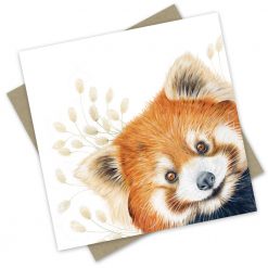 Furry Friends Collection (Cards)